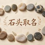 给石头起名字
