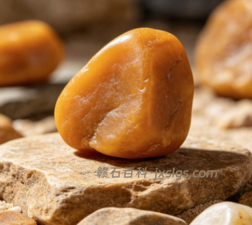 橄榄油硅油核桃油对比