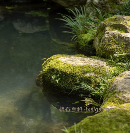 鱼池驳岸石材