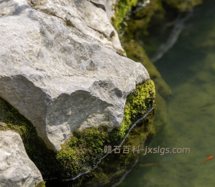黄蜡石鱼池造景