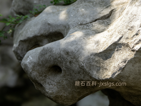 乐平碧玉冻产地