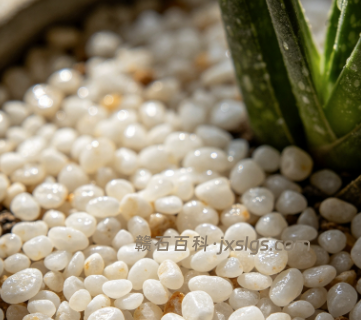 玉山米粒石