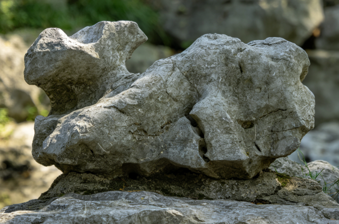 江西奇石品种