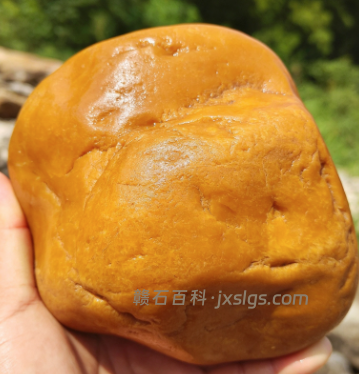 黄蜡石价格