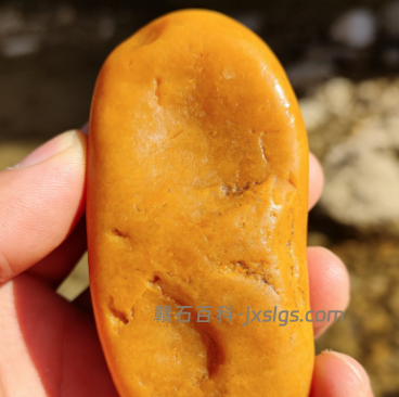 鹰潭信江黄蜡石