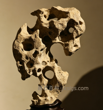 天然太湖石原石,详解瘦漏透皱天然溶蚀成型原因
