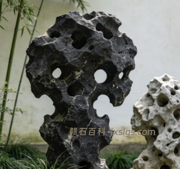黑山石和太湖石拍照哪个好看?