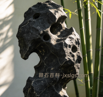 黑山石凭什么成为庭院新宠？耐看、多变、省钱、有文化