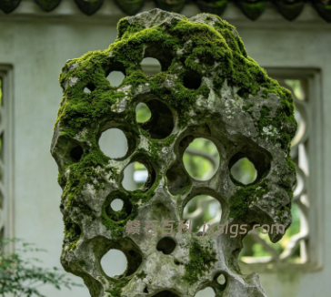 宜春太湖石