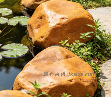 精品黄蜡石冻蜡实拍