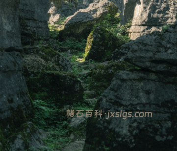 江西奇石自驾