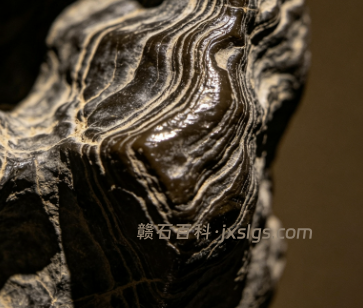 新手玩石选太湖石还是灵璧石