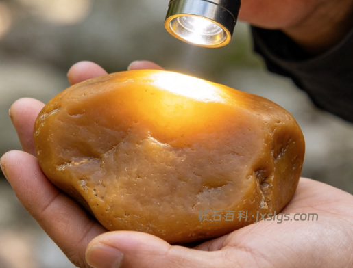 新手买奇石注意事项