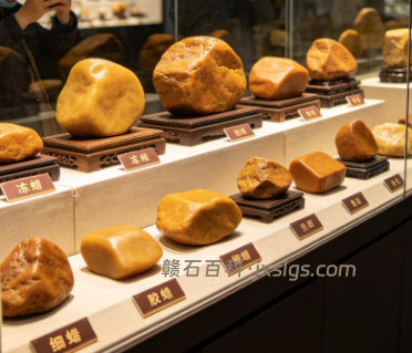 江西赏石交流会