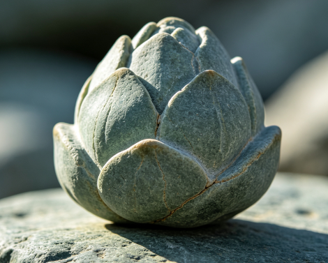 一叶清莲潦河石