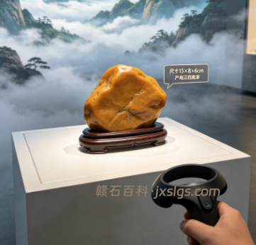 观赏石VR线上展览