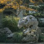 九江做假山鱼池用什么石头？庐山石和黑山石是本地优势