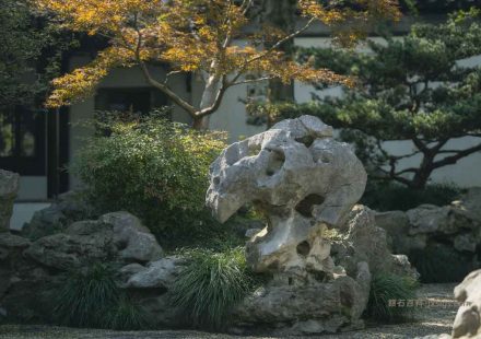 九江做假山鱼池用什么石头？庐山石和黑山石是本地优势