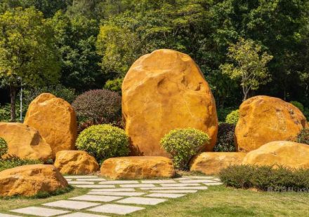 江西有什么观赏石品种 各地市奇石产地及收藏价值详解