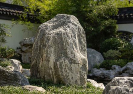 吉安做假山鱼池用什么石头？永丰菊花石和安福木纹石是本地特色