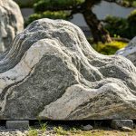 九江星子景观石产地 南昌京东花鸟市场景观石批发攻略