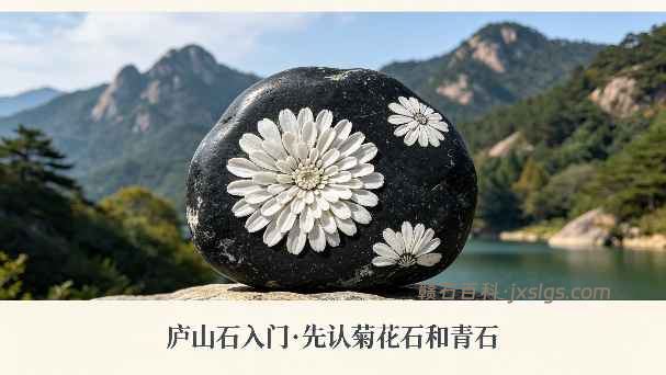 庐山石头有哪些？新手先认菊花石和青石就够了