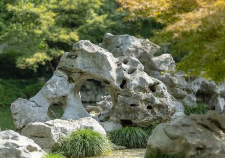 星子县石材厂推荐 庐山菊花石产地及庭院石材选购