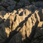 资溪九龙石产地 临川才子玉黄蜡石庭院选购及避坑