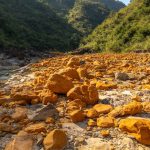 江西还有个芦溪也出黄蜡石？山流水料，皮质不比信江差