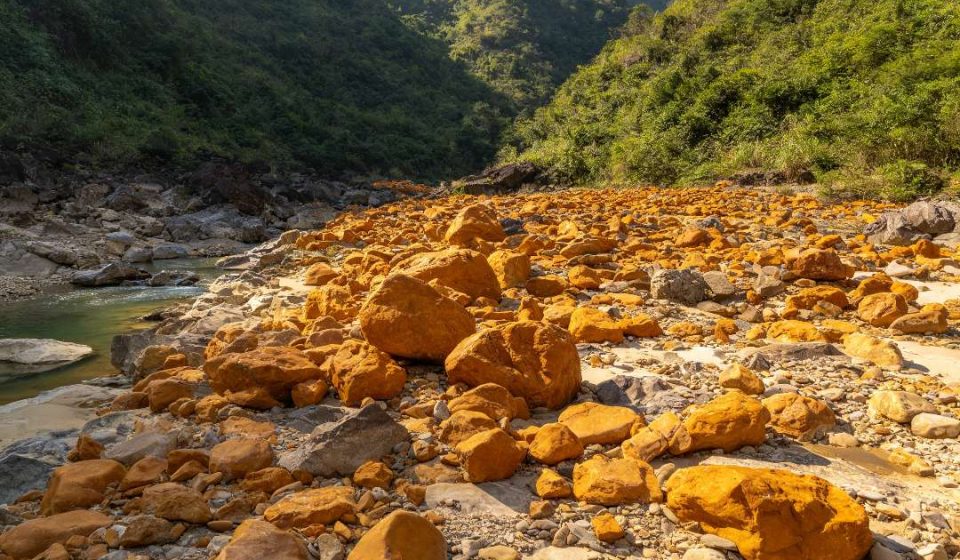 江西还有个芦溪也出黄蜡石？山流水料，皮质不比信江差