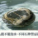 别把石头乱泡水！不同石种的养护禁忌一次说清
