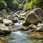 好石头越来越贵，普通石头没人要，背后的逻辑是什么？