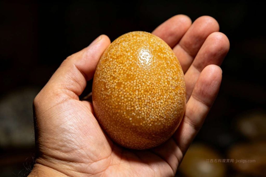 上饶玉山米粒石