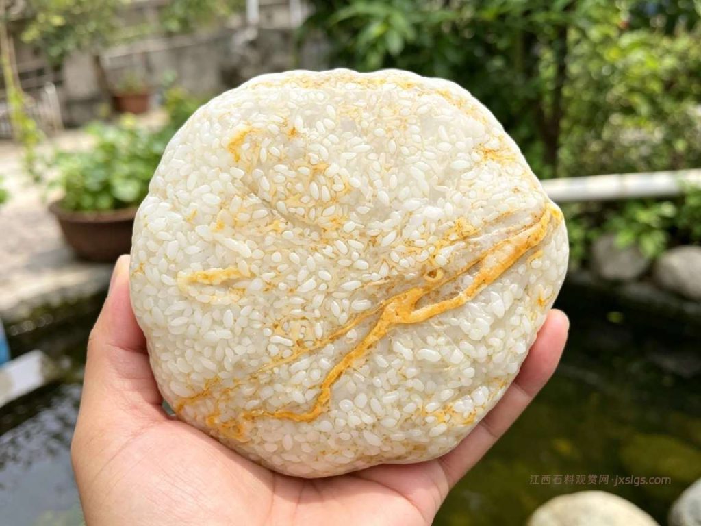 上饶米粒石