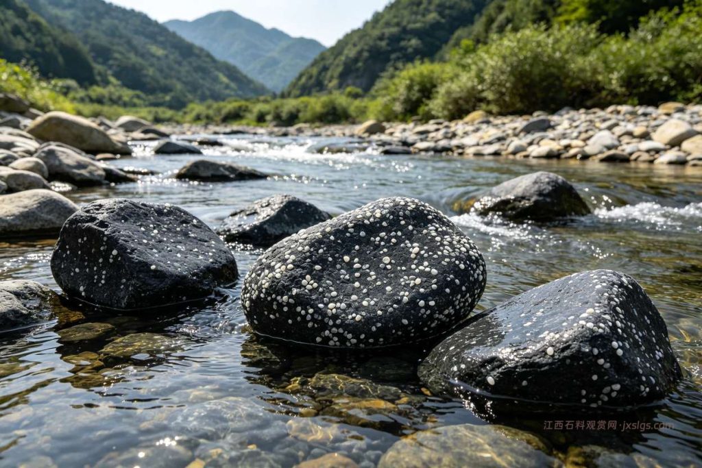 玉山米粒石哪里有卖
