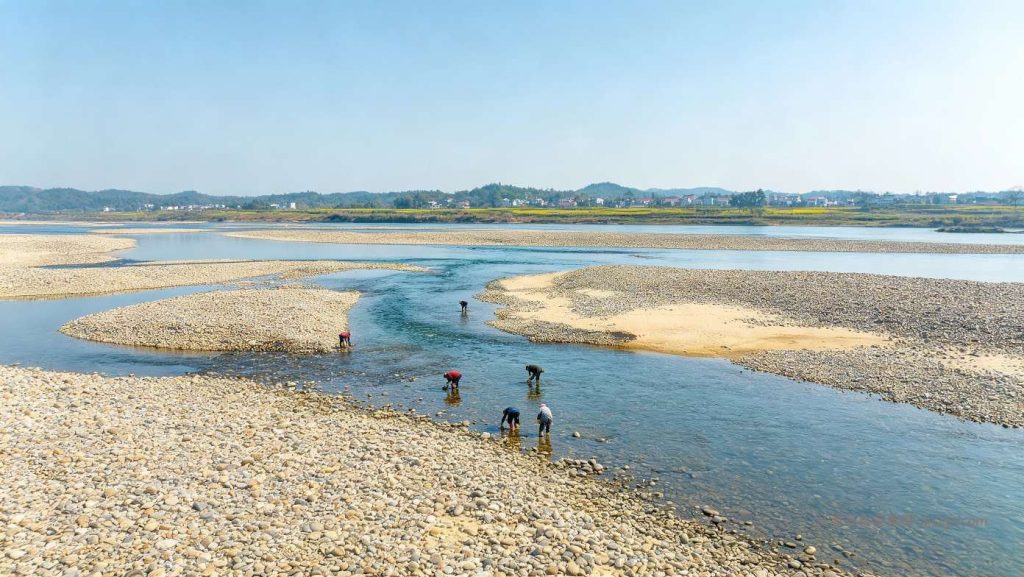 吉水捡石